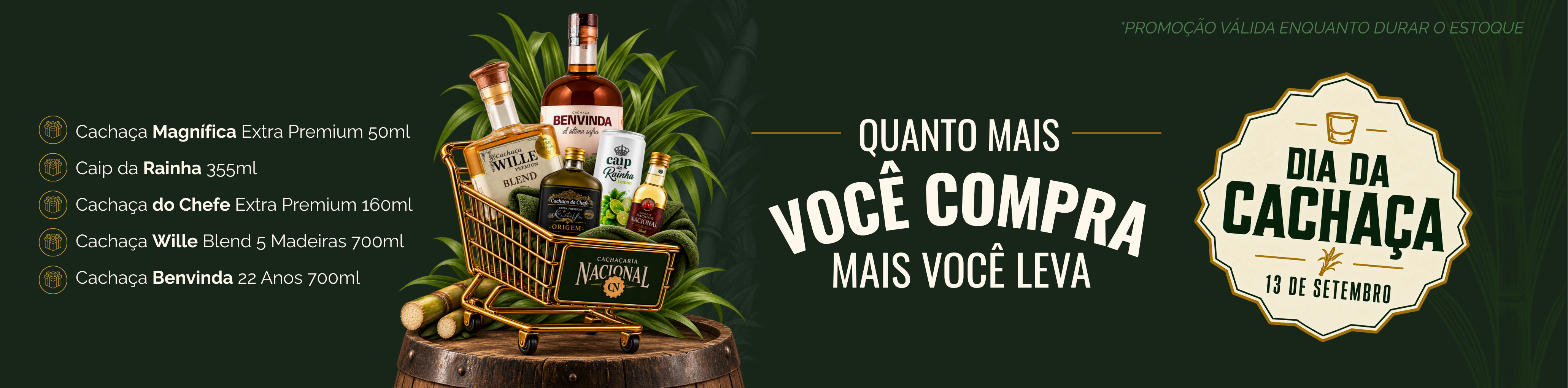 Banner Promoções Desktop